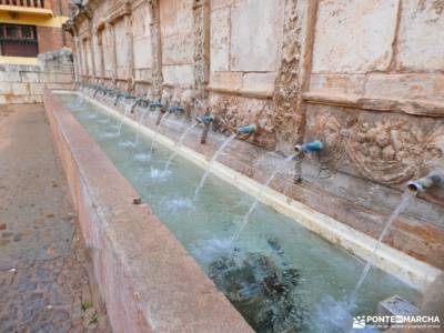 Daroca Salvaje_Gallocanta-Pinsapar de Orcajo; la mariña lucense monasterios de navarra las lagunas d